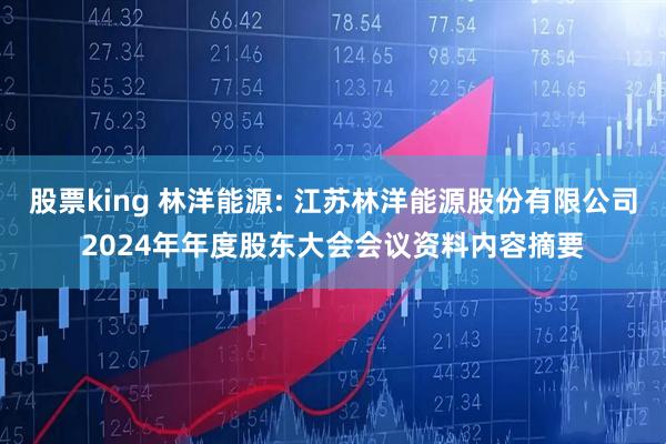股票king 林洋能源: 江苏林洋能源股份有限公司2024年年度股东大会会议资料内容摘要