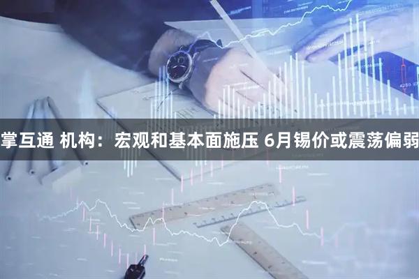 掌互通 机构：宏观和基本面施压 6月锡价或震荡偏弱
