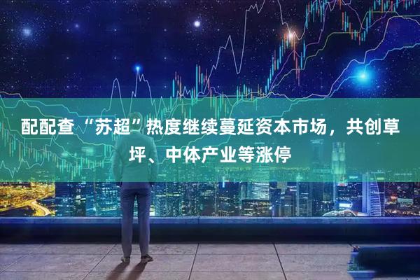 配配查 “苏超”热度继续蔓延资本市场，共创草坪、中体产业等涨停