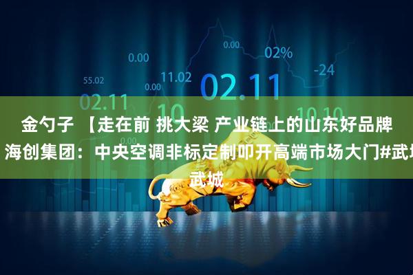 金勺子 【走在前 挑大梁 产业链上的山东好品牌】海创集团：中央空调非标定制叩开高端市场大门#武城