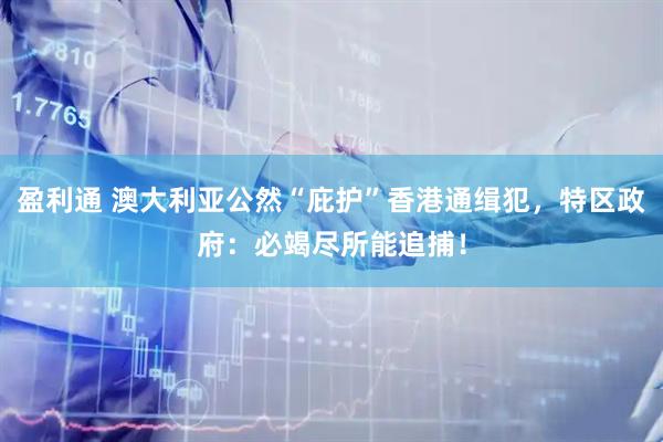 盈利通 澳大利亚公然“庇护”香港通缉犯，特区政府：必竭尽所能追捕！