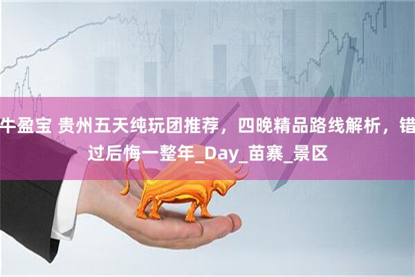牛盈宝 贵州五天纯玩团推荐，四晚精品路线解析，错过后悔一整年_Day_苗寨_景区